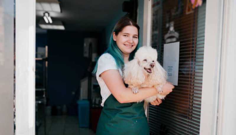 Pet Shop Banho e Tosa Chateaubriand - Pet Shop para Cachorros