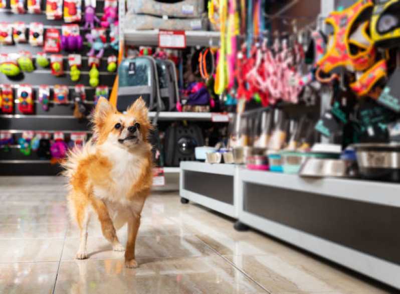 Pet Shop para Gatos Braganey - Pet Shop com Clínica Veterinária
