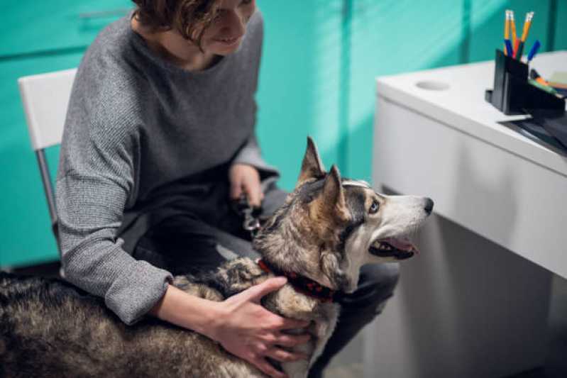 Pronto Socorro 24h para Animais de Estimação Lindoeste - Pronto Socorro para Cachorros Toledo