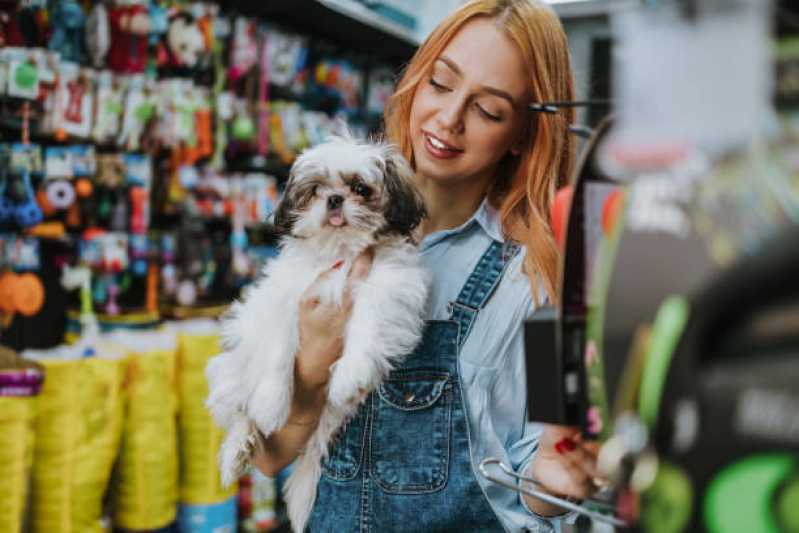 Telefone de Pet Shop Banho e Tosa Jardim Santa Maria - Pet Shop para Gatos