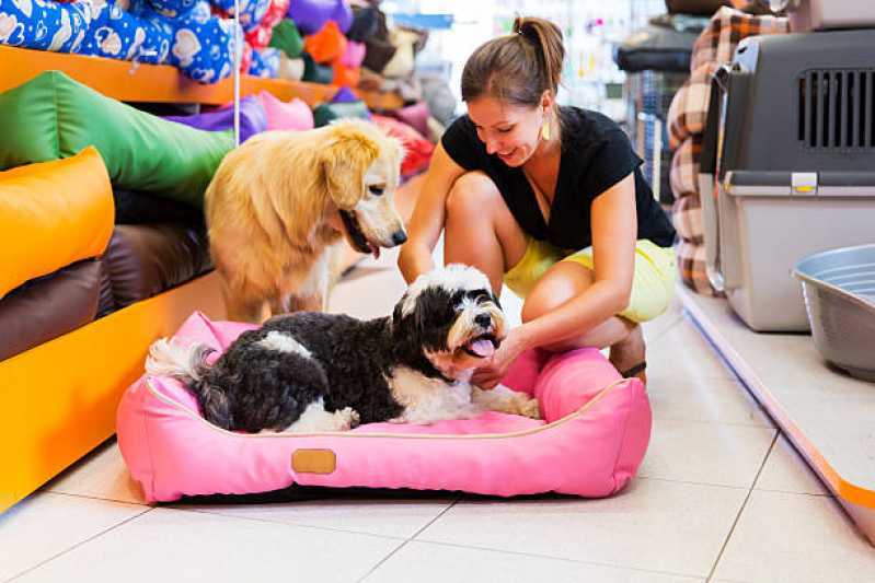 Telefone de Pet Shop Perto Centro de Toledo - Pet Shop Gatos