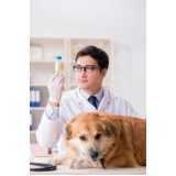 agendamento de exames citologias para animais Santa Cruz