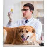 agendamento de exames laboratoriais para cachorro Linha São Francisco