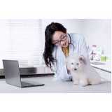 agendamento de nefrologia de cachorro Universitário