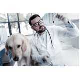 agendamento de nefrologia para cachorro de pequeno porte Neva