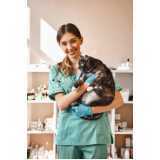 agendamento de nefrologia para gatos Assis