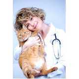 cardiologista de cães e gatos Santa Cruz