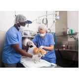 cirurgia ortopédica para cachorro agendar Tocantins