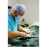 cirurgia ortopédica veterinária Pacaembu
