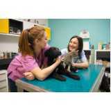 clínica especialista em uti animal Canadá