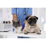 clínica especialista em uti para gato Canadá
