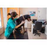 clínica especializada em gastroenterologia de cachorro Cataratas