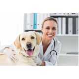 clínica especializada em ortopedia animal Vila Brasil