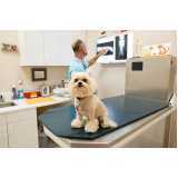clínica especializada em ortopedista de cachorro Independência