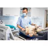 clínica especializada em urologia para animais Matelândia