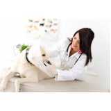 dermatologista para cães de grande porte contato Universitário