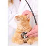 eletrocardiograma em cães e gatos agendar Coqueiral