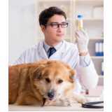 exames citologias para animais agendar Boa Vista da Aparecida