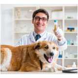 Exames Citologias para Animais