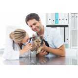 medicina preventiva animal clínica Jardim Recanto