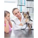 medicina preventiva para cachorros Jardim Recanto