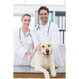medicina preventiva para pets Coqueiral