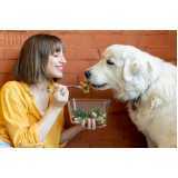nutrição veterinária para animais Cafelândia