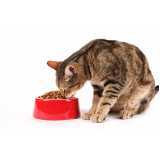 nutrição veterinária para gatos Ubiratã
