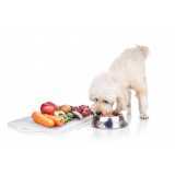 nutrição veterinária para pequenos animais agendar Mercedes