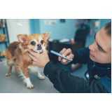 oftalmologista para cães e gatos telefone Canadá