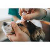 oftalmologista para cães telefone Ibema