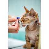 oftalmologista para gatos telefone Corbélia
