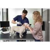 onde agendar consulta veterinária para cachorro Vila Pioneiro