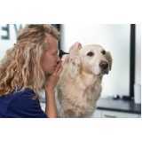onde agendar consulta veterinária para cachorros Coqueiral