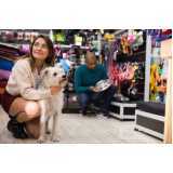 onde encontrar pet shop para cachorros Vila Operária