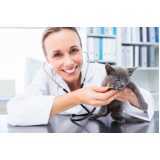 onde marcar consulta veterinária para gato Jardim Bressan