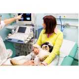 onde realizar ultrassom veterinário para cães Jardim Gisela