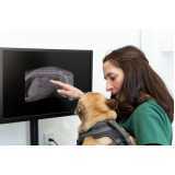 ortopedia para cães e gatos Parque Verde
