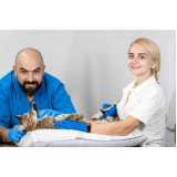 ultrassom odontológico veterinário clínica Mercedes
