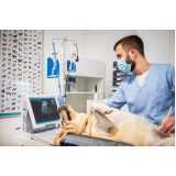 ultrassom veterinário 24 horas clínica Campo Bonito