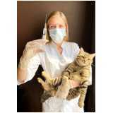 vacina de raiva gato agendar Vila Brasil