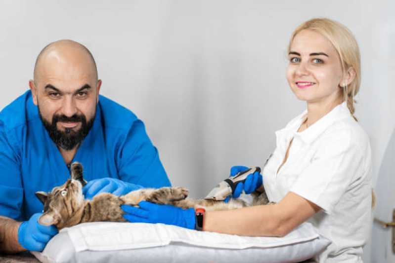 Ultrassom Odontológico Veterinário Clínica Vila Industrial - Ultrassom para Animais