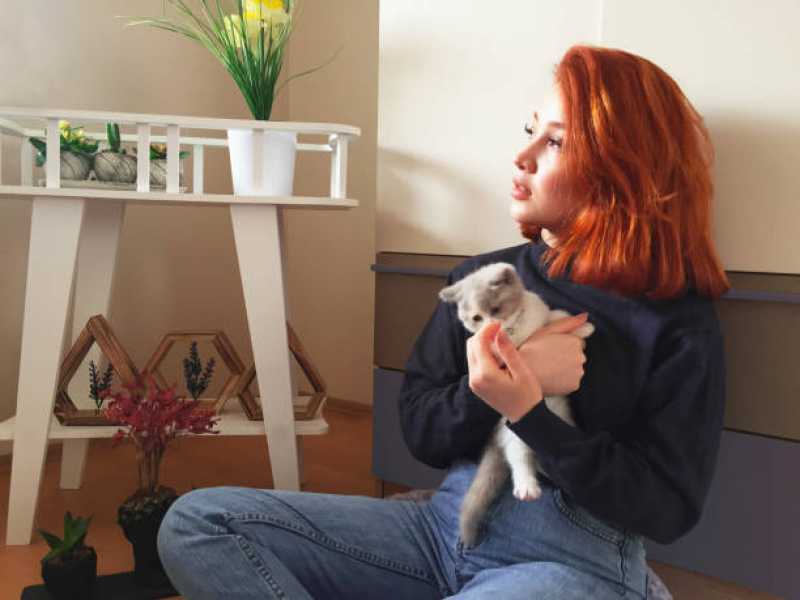 Uti para Gatos Jardim Concórdia - Uti para Pets